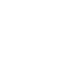 shape-img